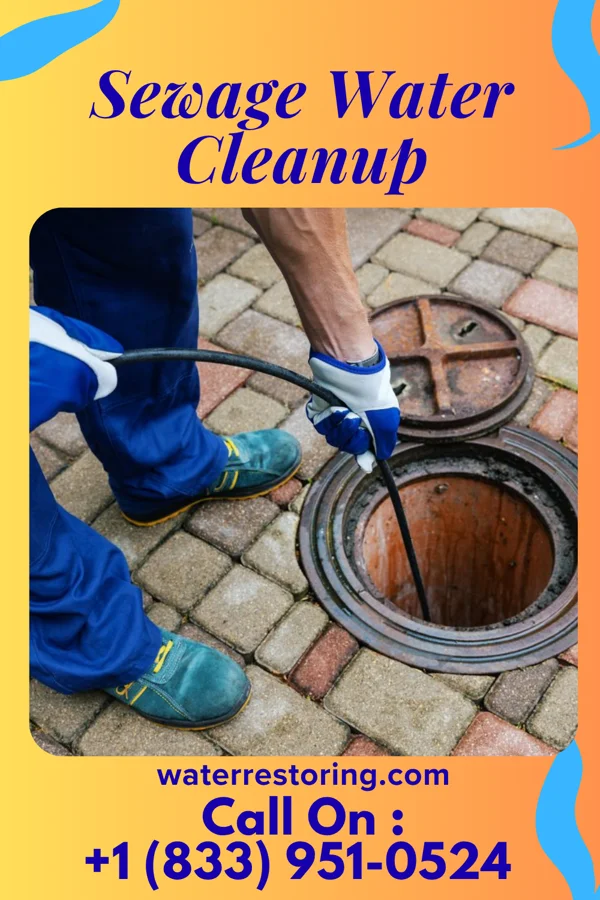 Sewage Water Cleanup in Rosman, NC